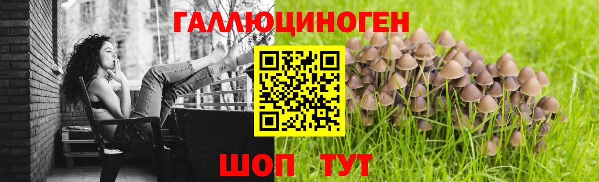 где продают   Галлюциногенные грибы GOLDEN TEACHER  Вход с VPN  Галлюциногенные грибы ЛСД  Прохладный 